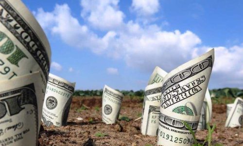 Bảng Giá Đất Thổ Cư Thị Xã Buôn Hồ 2025