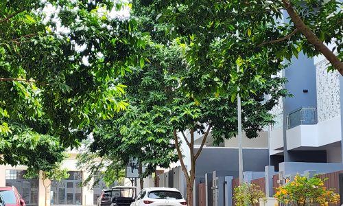 NHÀ PHỐ TESLA 07 TUYẾN PHỐ XANH MÁT TRUNG TÂM DỰ ÁN