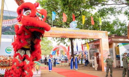 Eco Palace Của Eco Park Hải Dương Khi Nào Mở Bán Tại BMT ?